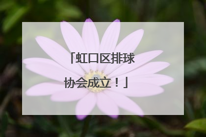 虹口区排球协会成立！