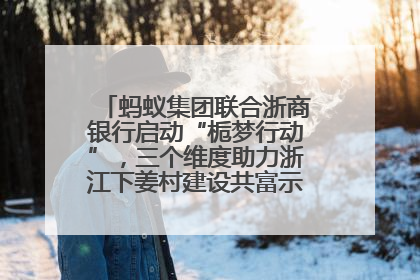 蚂蚁集团联合浙商银行启动“栀梦行动”，三个维度助力浙江下姜村建设共富示范区示范点