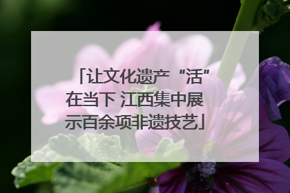 让文化遗产“活”在当下 江西集中展示百余项非遗技艺