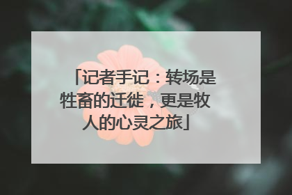 记者手记：转场是牲畜的迁徙，更是牧人的心灵之旅