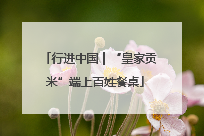 行进中国｜“皇家贡米”端上百姓餐桌