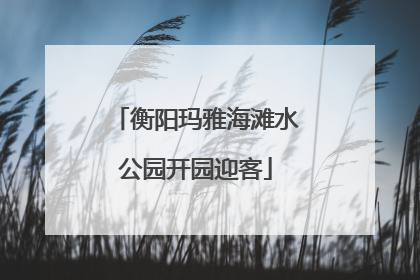 衡阳玛雅海滩水公园开园迎客