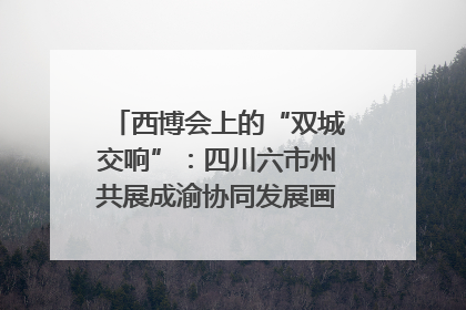 西博会上的“双城交响”：四川六市州共展成渝协同发展画卷｜西博视界