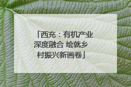 西充：有机产业深度融合 绘就乡村振兴新画卷