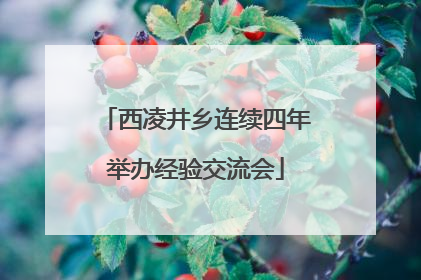 西凌井乡连续四年举办经验交流会
