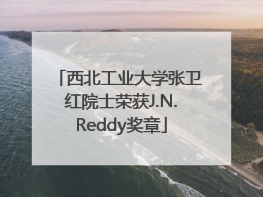 西北工业大学张卫红院士荣获J.N.Reddy奖章