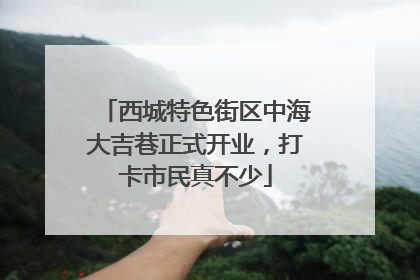 西城特色街区中海大吉巷正式开业，打卡市民真不少