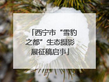 西宁市“雪豹之都”生态摄影展征稿启事