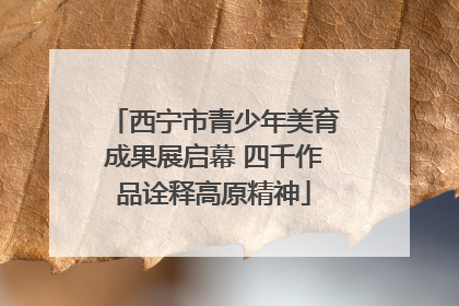 西宁市青少年美育成果展启幕 四千作品诠释高原精神