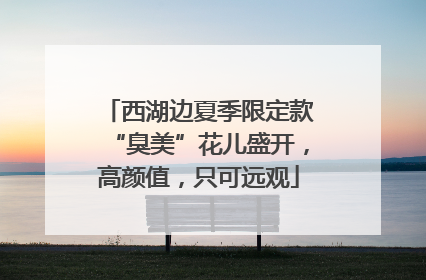 西湖边夏季限定款“臭美”花儿盛开，高颜值，只可远观