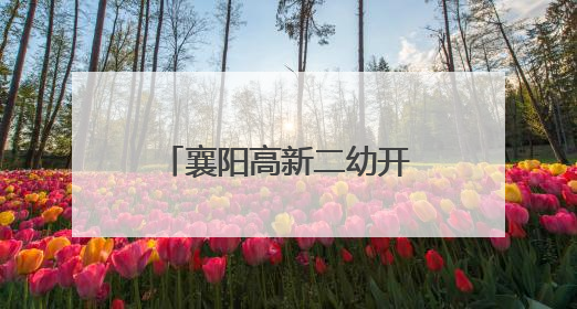 襄阳高新二幼开展“走进小学 遇见成长”活动