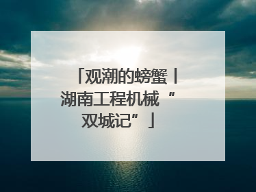 观潮的螃蟹丨湖南工程机械“双城记”