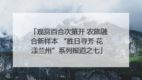 观赏百合次第开 农旅融合新样本 “胜日寻芳·花漾兰州”系列报道之七