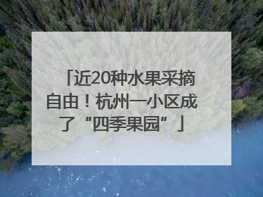近20种水果采摘自由！杭州一小区成了“四季果园”