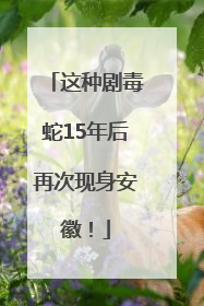 这种剧毒蛇15年后再次现身安徽！