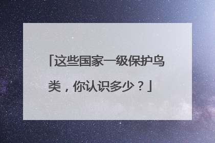 这些国家一级保护鸟类，你认识多少？