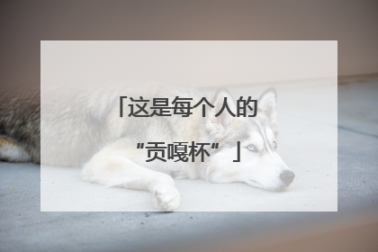 这是每个人的“贡嘎杯”