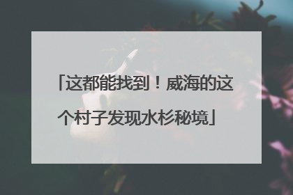 这都能找到！威海的这个村子发现水杉秘境
