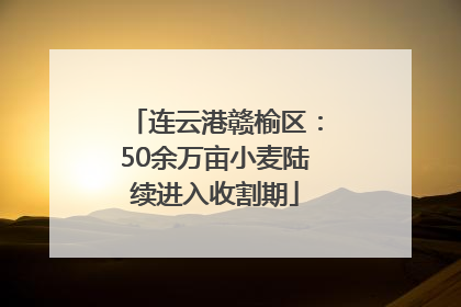 连云港赣榆区：50余万亩小麦陆续进入收割期