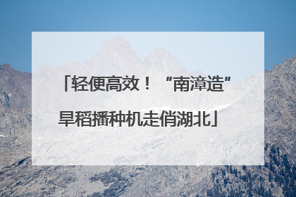 轻便高效！“南漳造”旱稻播种机走俏湖北