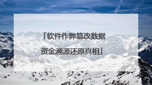 软件作弊篡改数据 资金溯源还原真相