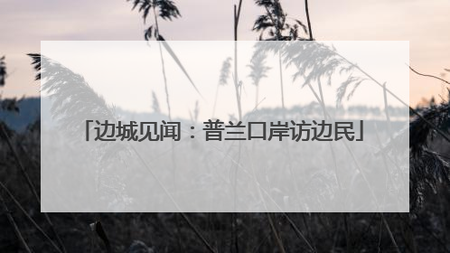 边城见闻：普兰口岸访边民