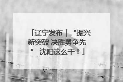 辽宁发布｜“振兴新突破 决胜勇争先” 沈阳这么干！