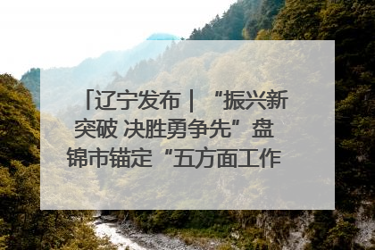 辽宁发布｜“振兴新突破 决胜勇争先”盘锦市锚定“五方面工作”力争全年地区生产总值增长5.5%左右