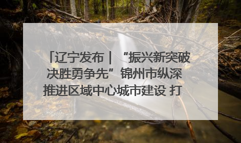 辽宁发布｜“振兴新突破 决胜勇争先”锦州市纵深推进区域中心城市建设 打造高质量发展新增长极