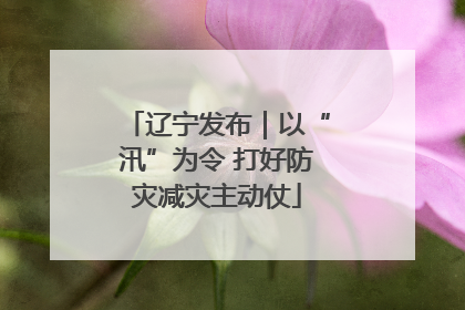 辽宁发布｜以“汛”为令 打好防灾减灾主动仗