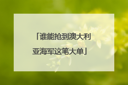 谁能抢到澳大利亚海军这笔大单