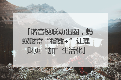 谐音梗联动出圈，蚂蚁财富“指数+”让理财更“加”生活化