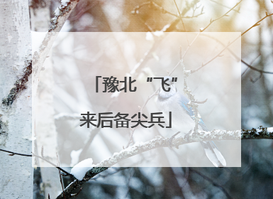 豫北“飞”来后备尖兵