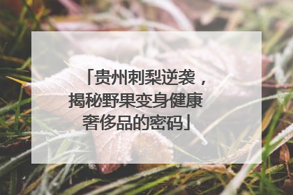 贵州刺梨逆袭，揭秘野果变身健康奢侈品的密码