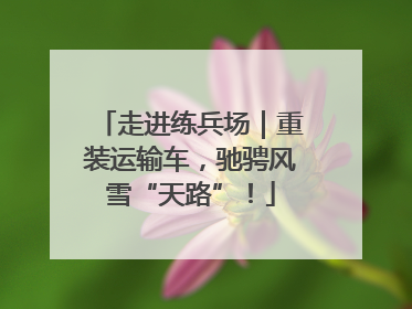 走进练兵场｜重装运输车，驰骋风雪“天路”！