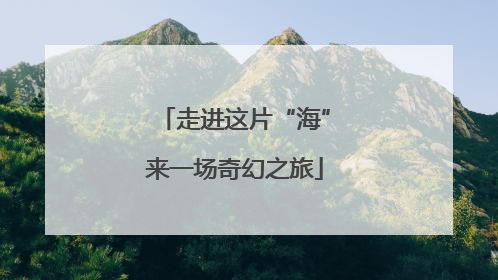 走进这片“海”来一场奇幻之旅