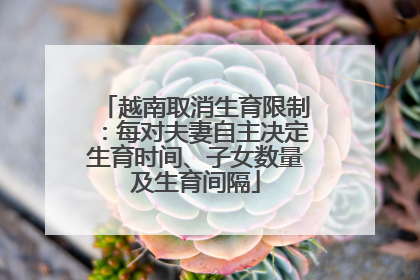 越南取消生育限制：每对夫妻自主决定生育时间、子女数量及生育间隔
