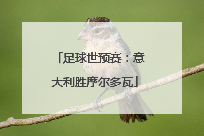 足球世预赛：意大利胜摩尔多瓦