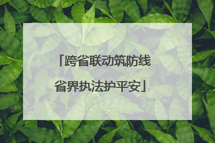 跨省联动筑防线 省界执法护平安