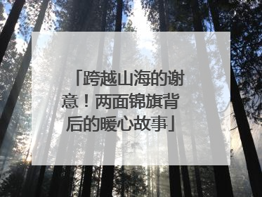 跨越山海的谢意！两面锦旗背后的暖心故事