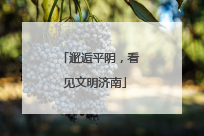 邂逅平阴，看见文明济南