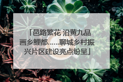 邑路繁花 沿黄九品 画乡鲤都……聊城乡村振兴片区建设亮点纷呈