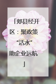 郏县经开区：聚政策“活水” 助企业远航