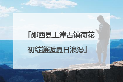 郧西县上津古镇荷花初绽邂逅夏日浪漫