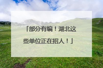 部分有编！湖北这些单位正在招人！