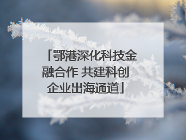 鄂港深化科技金融合作 共建科创企业出海通道