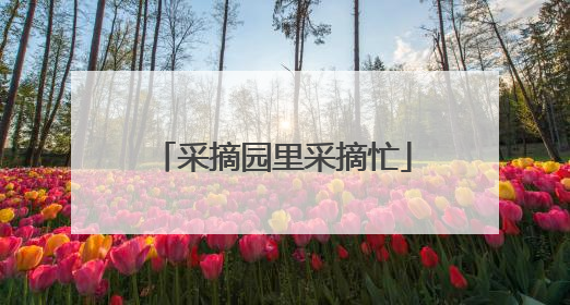 采摘园里采摘忙