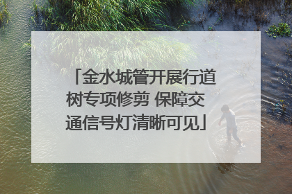 金水城管开展行道树专项修剪 保障交通信号灯清晰可见