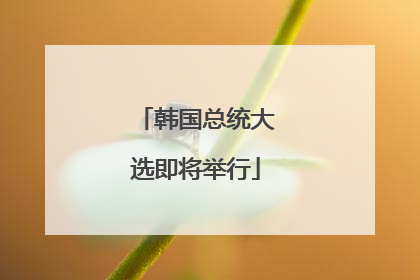 韩国总统大选即将举行