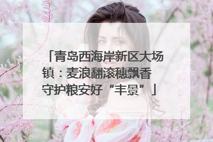 青岛西海岸新区大场镇：麦浪翻滚穗飘香 守护粮安好“丰景”